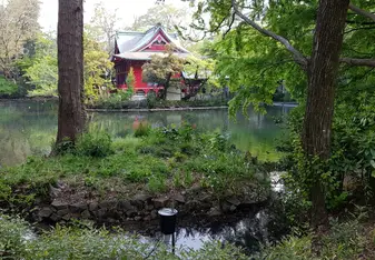 Kichijoji park