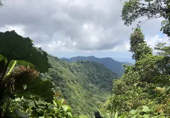 This is a look out in one of my favorite places in Costa Rica... the cloud forest of Monteverde.