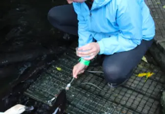 Me feeding the eels