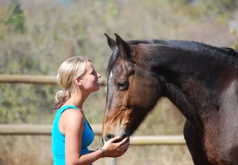 Bond with horses