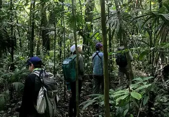 Conducting surveys through the jungle, important work and a great adventure