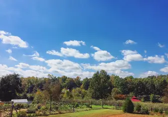 The educational garden