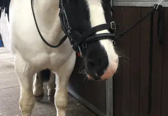 Ben before a ride