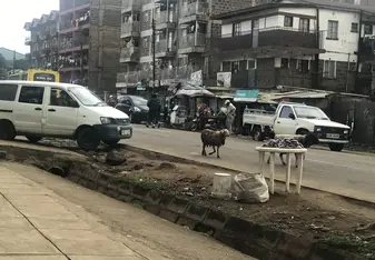 Street View of Clinic