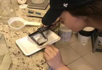 Working as an amphibian researcher