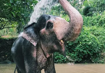 a quick shower in the river