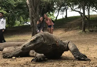 Trip to the Komodo Islands to see Komodo dragons