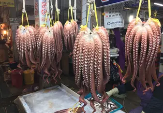 Octopus at the market