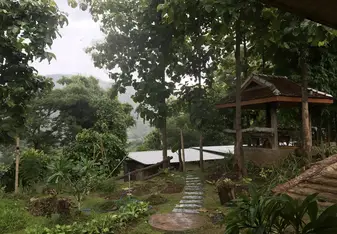 Rainy day