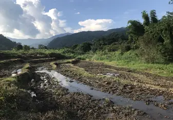 Landscape