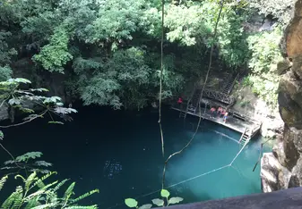 This cenote is just one example of the oasis of calm you can find just outside the city