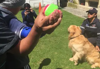A child plays fetch with a dog as a part of therapy