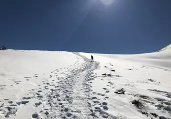 This image was captured on a hike on the Ben Lomond Trail In Queenstown! 