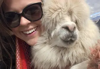 Llama selfie!
