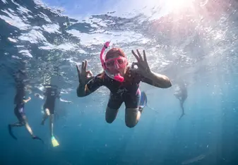 During the manta ray tour