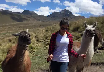 Pichincha