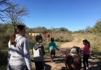 Promenade avec les enfants et les poneys