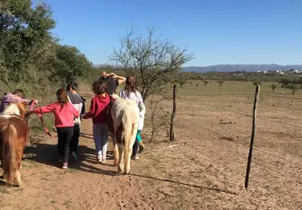 Promenade avec les enfants et les poneys