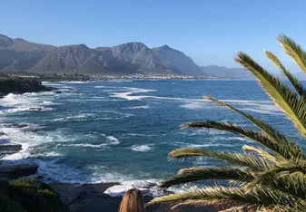 Hermanus Road Trip