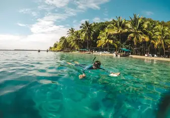 SFS Panama - student snorkeling