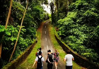 Walking around Ubud is beautiful
