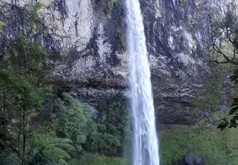 A waterfall near raglan