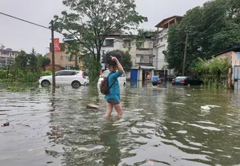 An insatiable positive omen no doubt. My arrival to CLI... first flooding in years, had to take off trousers to make an impression naturally.. 