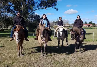 Horse back riding in Argentina