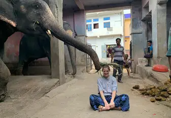 One elephant eating its food of my head! 