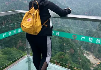 The Glass Bridge 