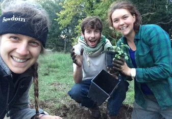 planting the next generation of fruit trees