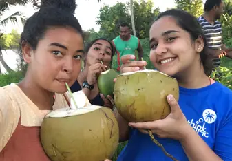 Huge coconuts by the river