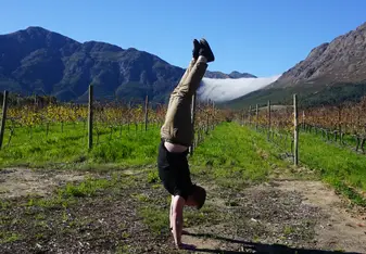 Cape Winelands