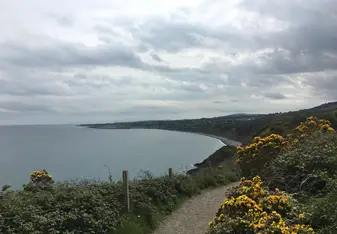 Bray to Graystones cliff walk
