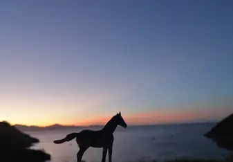 Horse by the sea (plastic) 