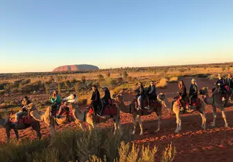 Riding Camel to see the sunrise!