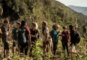 GVI: Volunteer in Thailand