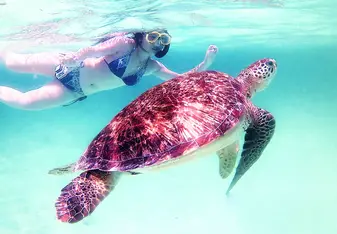 Swimming at the Tobaco Cays 