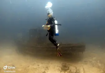 Wrecks, there’s an octopus living there 