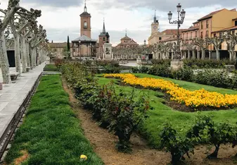 main square of Alcalá, right next to the UAH