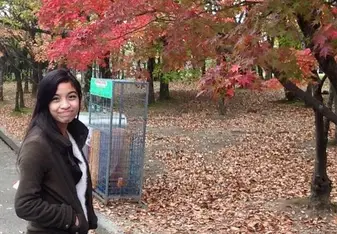 Fall Leaves Outside Osaka Castle