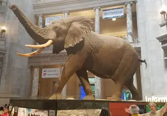 National Museum of Natural History