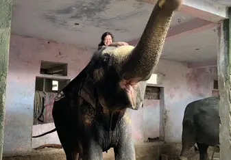 Feeding Rupa 