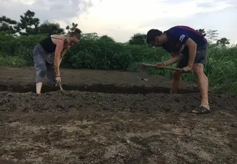 Tilling the field to get it ready for plantation