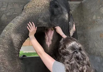 Feeding Rani 