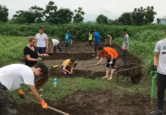 Tilling the field and weeding with other volunteers