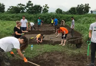 Tilling the field and weeding with other volunteers