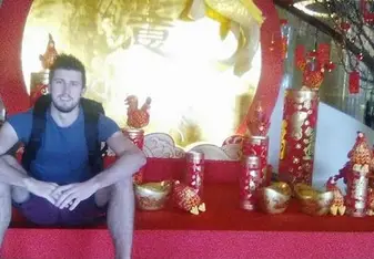 2017: the year of the rooster