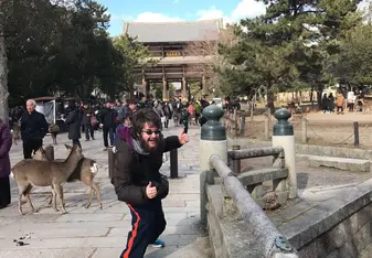me at a temple with some deer