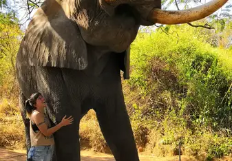 We went to an elephant sanctuary 